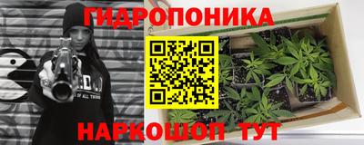кокс Пенза