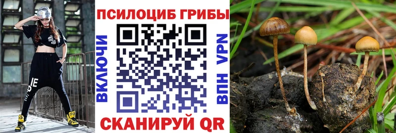 Галлюциногенные грибы GOLDEN TEACHER  где купить наркоту  Сургут 