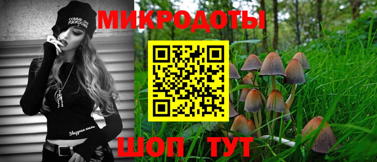 Галлюциногенные грибы GOLDEN TEACHER Сургут
